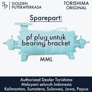 pf plug untuk bearing bracket untuk pompa MML Torishima Original Sparepart